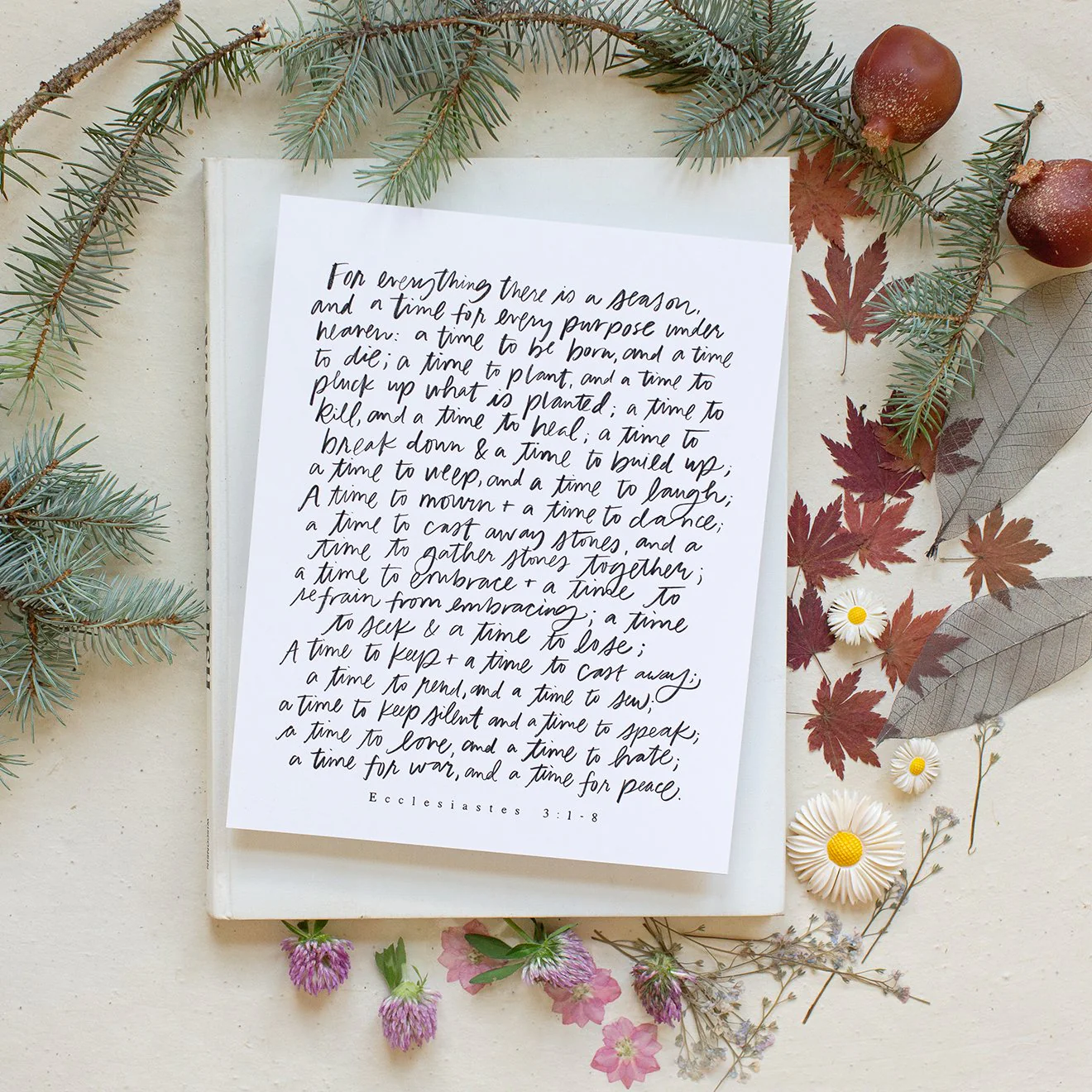 For Everything There Is A Season Canvas Wall Art - Image 7